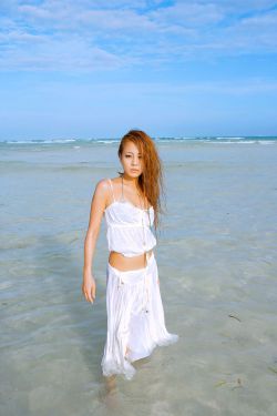 山海纪之龙缘